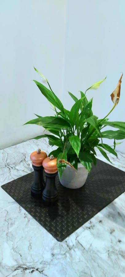 Great Studio Apartments - Netflix, Wifi, Digital Tv Sheffield Luaran gambar